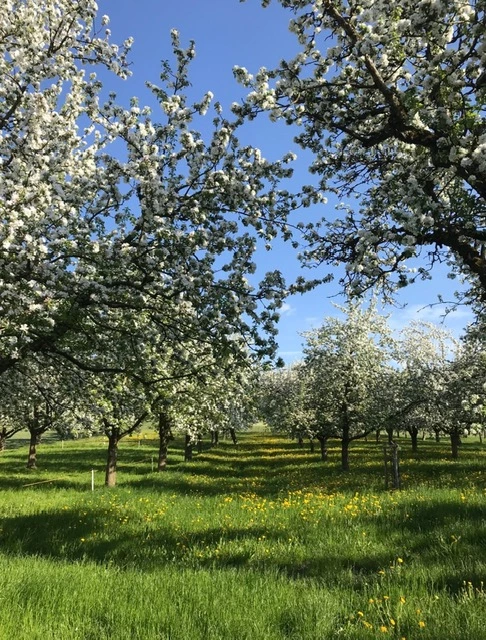 Frühlingsstart bei uns auf dem Hof